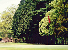 Scene of the Back Nine (In) 10th Hole - Photo 2