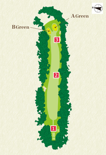 Back Nine (In) 11th Hole Overview