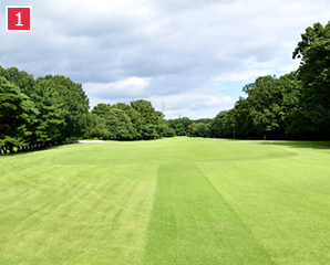 Back Nine (In) 11th Hole - Photo 1