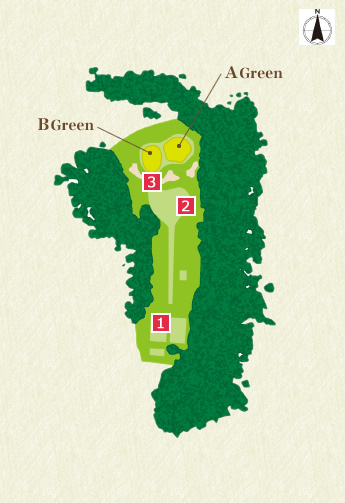 Back Nine (In) 12th Hole Overview