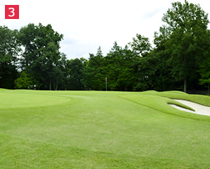 Back Nine (In) 12th Hole - Photo 3