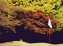 Scene of the Back Nine (In) 14th Hole - Photo 3