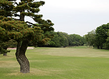 Scene of the Front Nine (Out) 1st Hole - Photo 2