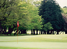 Scene of the Front Nine (Out) 2nd Hole - Photo 1