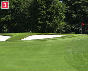 Front Nine (Out) 4th Hole - Photo 3