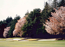 Scene of the Front Nine (Out) 5th Hole - Photo 1