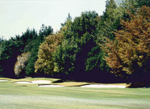 Scene of the Front Nine (Out) 5th Hole - Photo 2