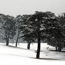 雪景色 写真2