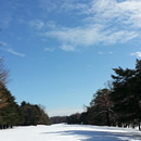 雪景色 写真6