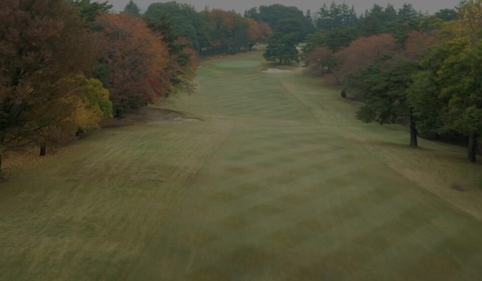 紅葉 空撮映像①