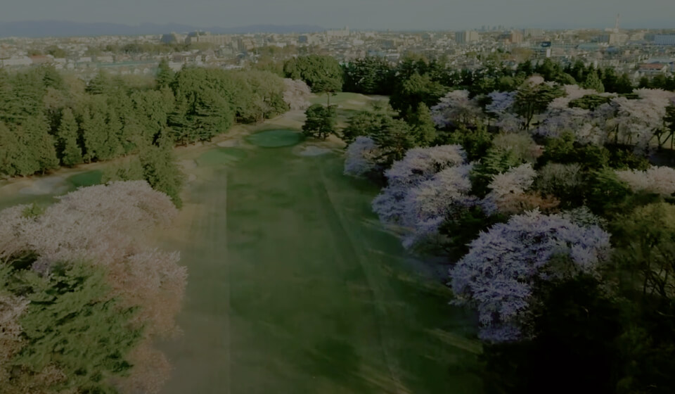 桜 空撮映像ロングバージョン（18-1-3番H）