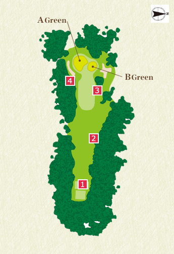 Back Nine (In) 17th Hole Overview