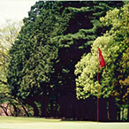 Scene of the Back Nine (In) 10th Hole - Photo2