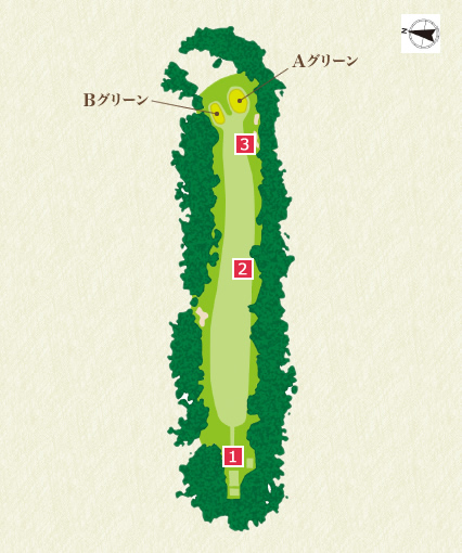 Back Nine (In) 11th Hole Course Overview