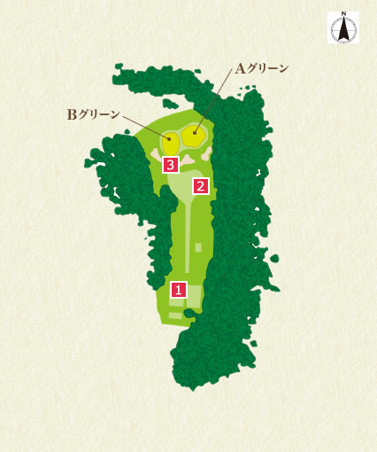Back Nine (In) 12th Hole Course Overview