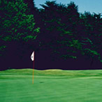 Scene of the Back Nine (In) 14th Hole - Photo1