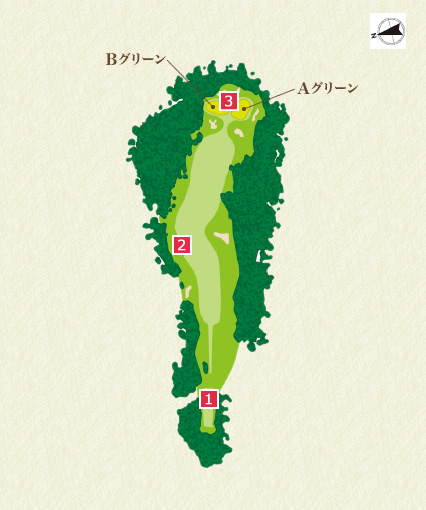 Back Nine (In) 16th Hole Course Overview