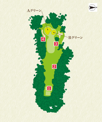 Back Nine (In) 17th Hole Course Overview