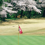Scene of the Back Nine (In) 18th Hole - Photo1