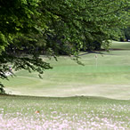 Scene of the Front Nine (Out) 1st Hole - Photo3