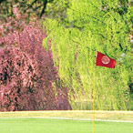 Scene of the Front Nine (Out) 3rd Hole - Photo2