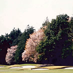 Scene of the Front Nine (Out) 5th Hole - Photo1